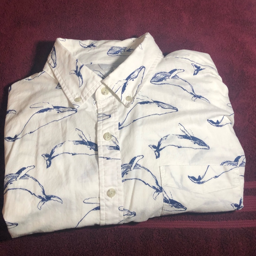 Short sleeve button down